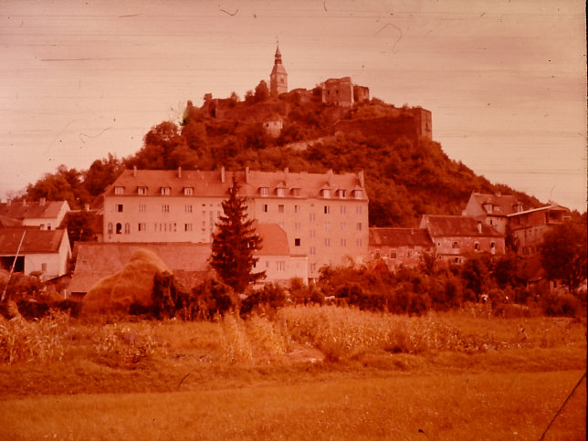 Gssing, Burg Gssing