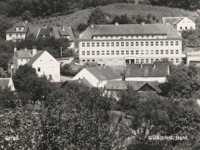 Güssing, Volksschule mit Burg