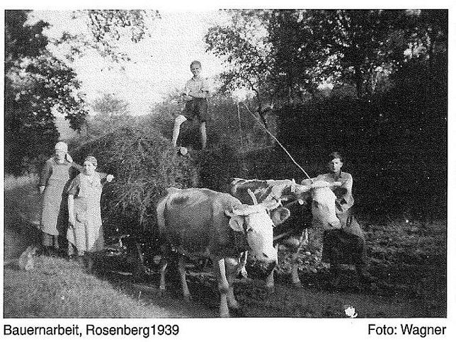 Rosenberg, Bauernarbeit