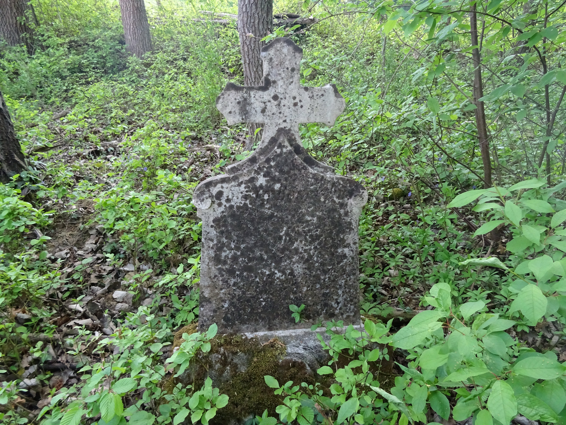 Spitalsfriedhof